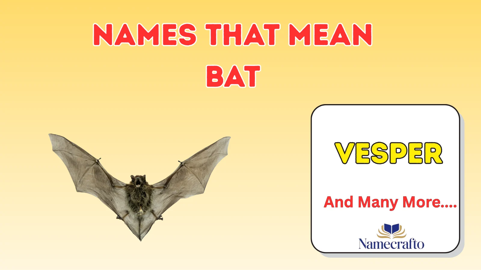 Names That Mean Bat