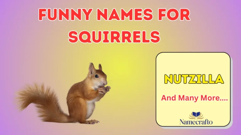 Funny Names for Squirrels