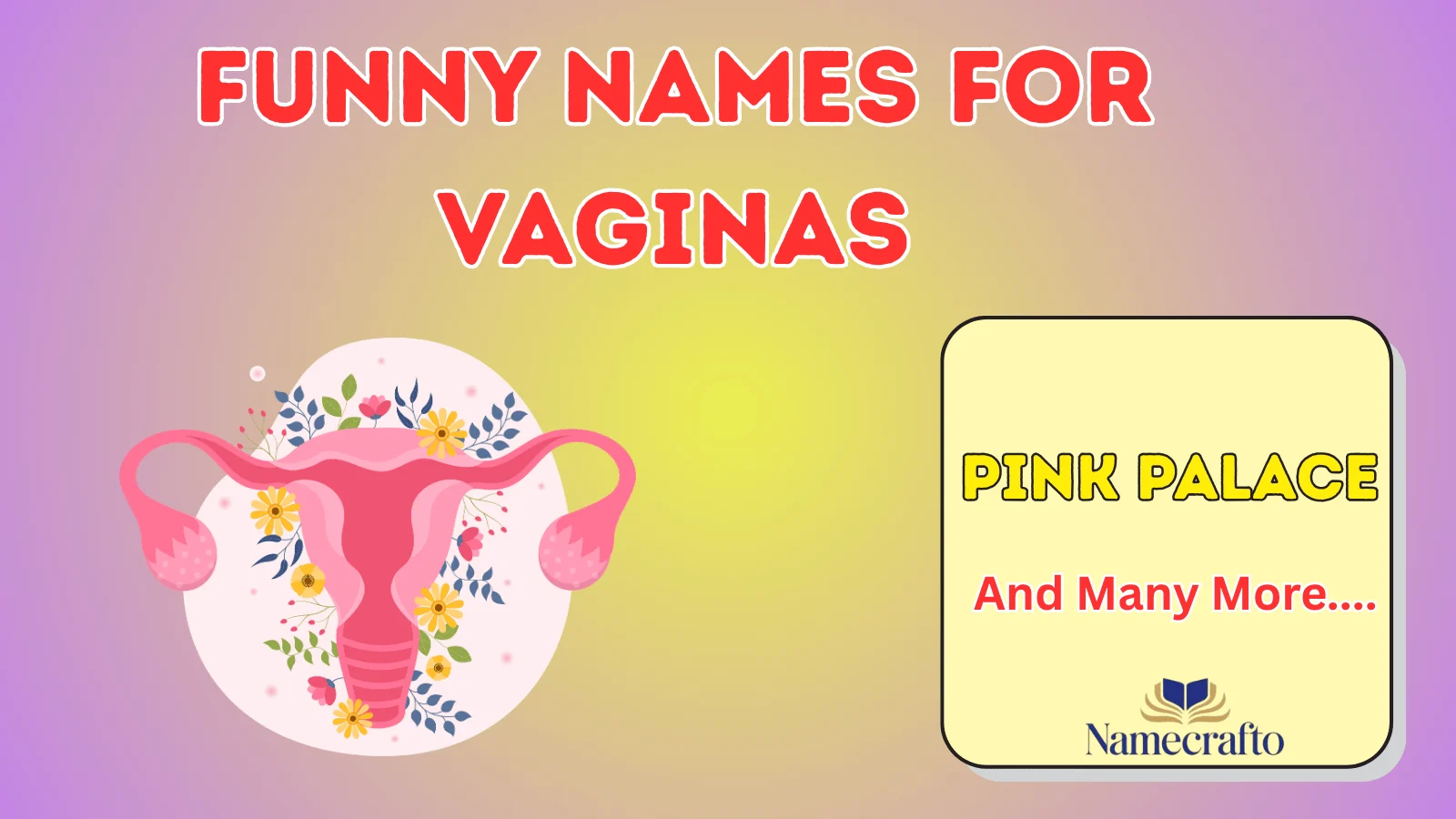 Funny Names for Vaginas