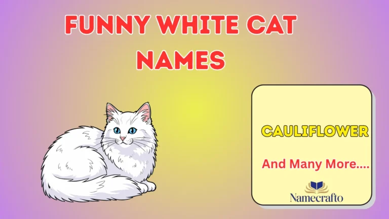Funny White Cat Names