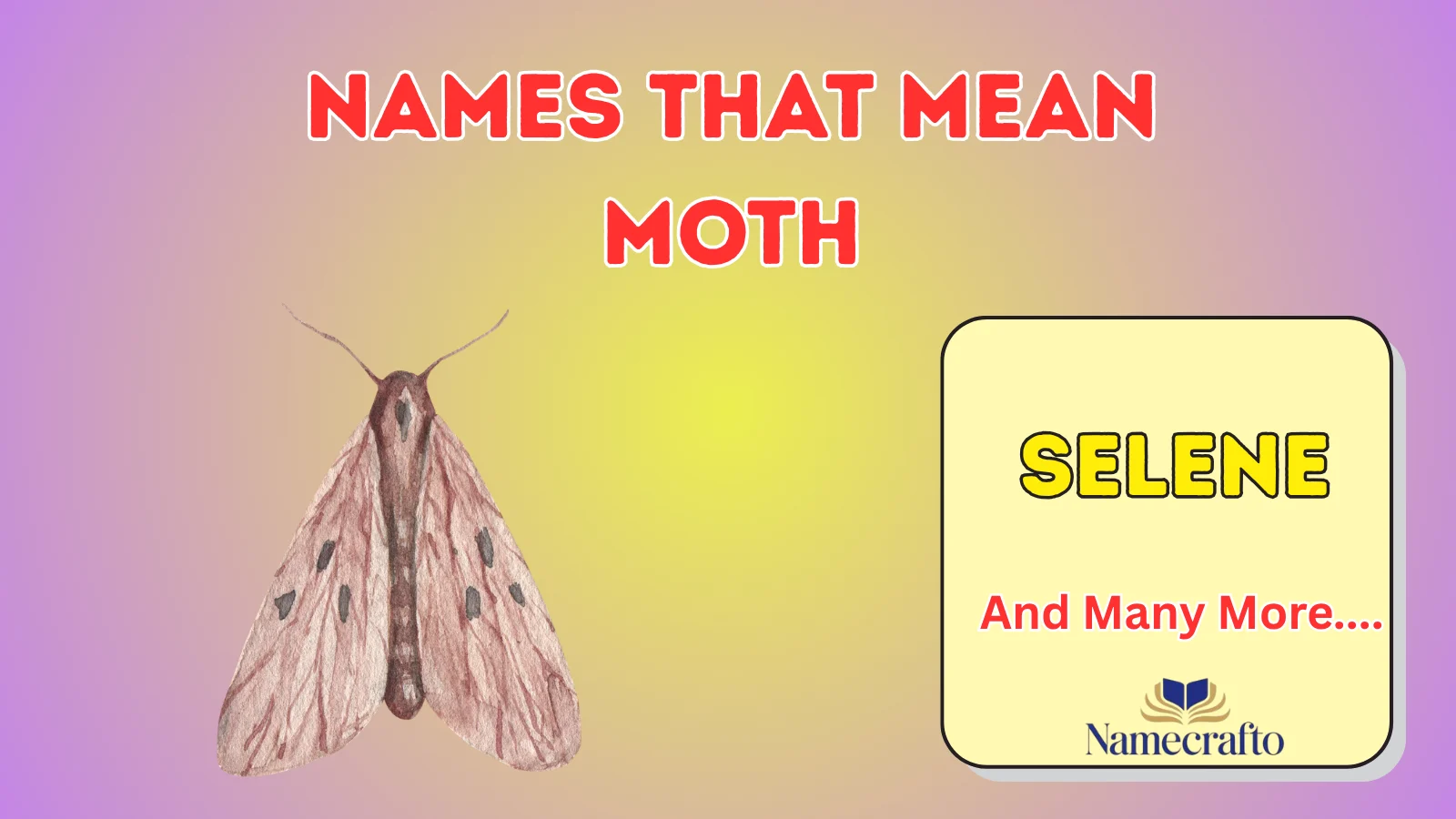 Names That Mean Moth