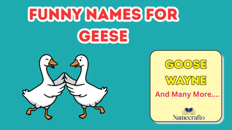 Funny Names for Geese