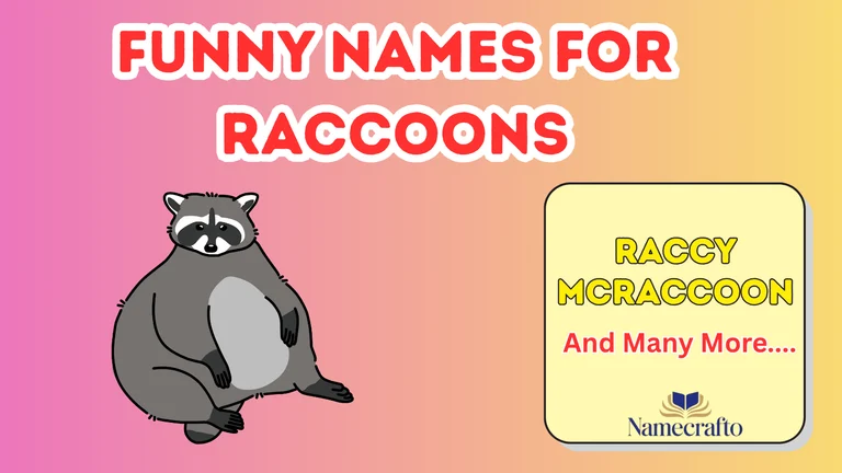 Funny Names for Raccoons